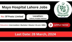 Mayo Hospital Lahore Jobs 2024-govtjobtoday.com