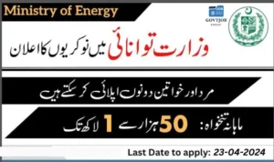 Ministry of Energy Power Division Islamabad Jobs 2024-govtjobtoday.com