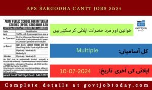 Army Public School for International Studies Sargodha Jobs 2024-govtjobtoday.com