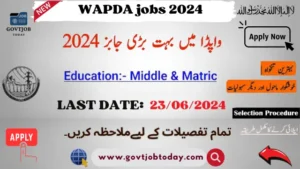 WAPDA Jobs 2024-govtjobtoday.com