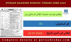 Punjab Daanish School Vehari Jobs 2024-govtjobtoday.com