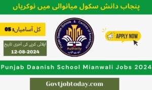 Punjab Daanish School Mianwali Teaching Jobs 2024-govtjobtoday.com