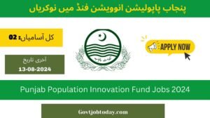 Punjab Population Innovation Fund PPIF Jobs 2024-govtjobtoday.com