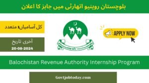 Balochistan Revenue Authority Jobs 2024-govtjobtoday.com