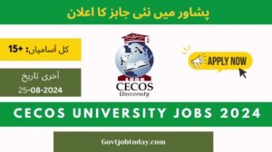 CECOS University Peshawar Jobs 2024-govtjobtoday.com