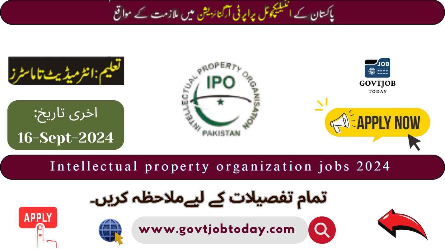 Intellectual Property Organization Jobs 2024