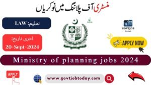 Ministry Of Planning Jobs 2024-govtjobtoday.com