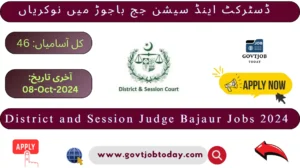 District and Session Judge Bajaur Jobs 2024-govtjobtoday.com