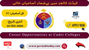 Cadet College Jobs 2024-govtjobtoday.com