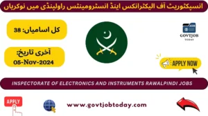 Inspectorate of Electronics and Instruments Rawalpindi Jobs 2024-govtjobtoday.com