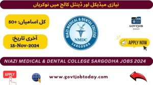 Niazi Medical & Dental College Sargodha Jobs 2024-