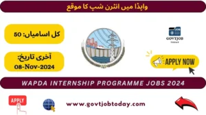 WAPDA Internship Programme 2024-govtjobtoday.com