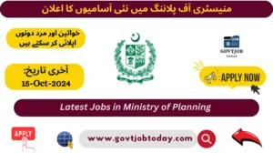 Ministry of Planning Development & Special Initiatives Jobs 2024-govtjobtoday.com