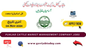 Punjab Cattle Market Management Company Jobs 2024