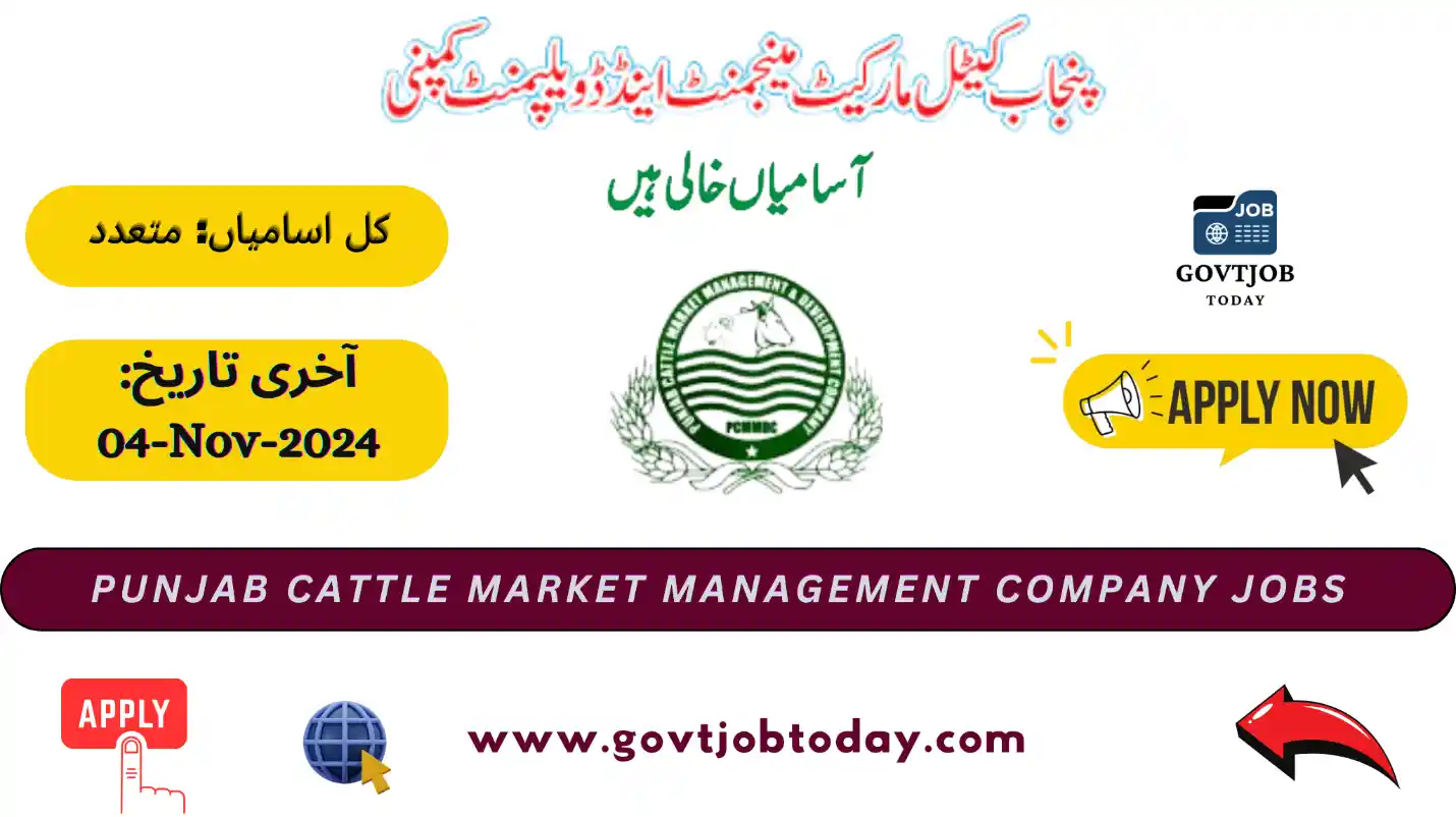 Punjab Cattle Market Management Company Jobs 2024