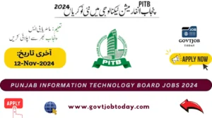 Punjab Information Technology Board Jobs 2024-govtjobtoday.com