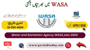 Water And Sanitation Agency Wasa Jobs 2024-govtjobtoday.com