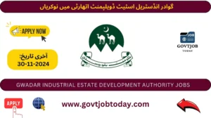 Gwadar Industrial Estate Development Authority Jobs 2024-govtjobtoday.com