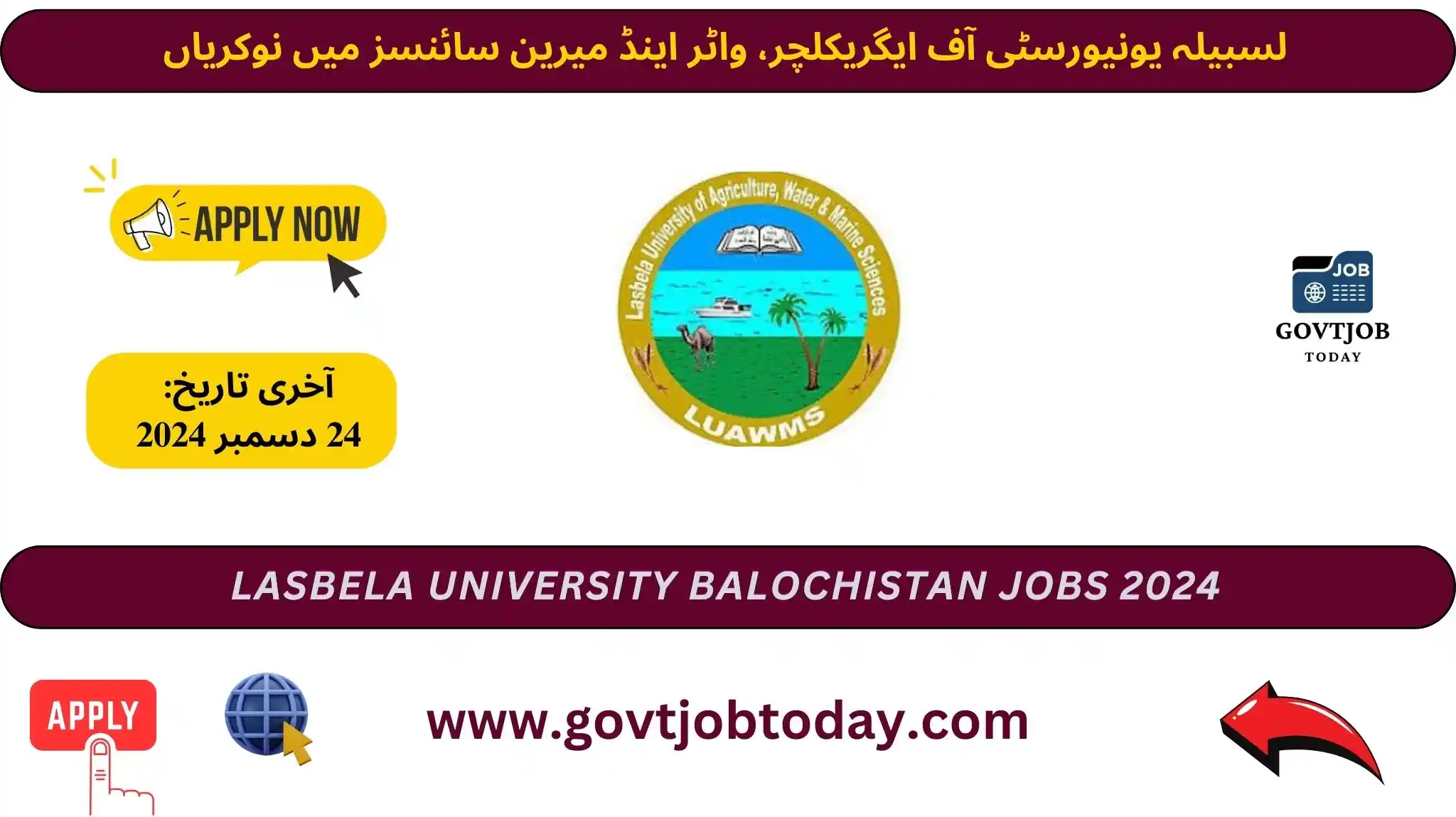 Lasbela University Balochistan Jobs 2024-govtjobtoday.com