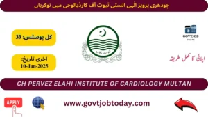 Pervaiz Elahi Institute of Cardiology Multan Jobs 2025-govtjobtoday.com