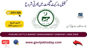 Punjab Cattle Market Management Company Jobs 2024-govtjobtoday.com