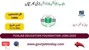 Punjab Education Foundation Jobs 2024-govtjobtoday.com