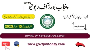 Board of revenue jobs 2025-govtjobtoday.com