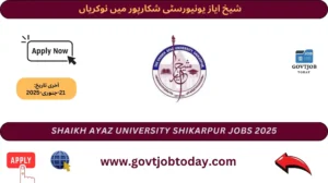 Shaikh Ayaz University Shikarpur Jobs 2025-govtjobtoday.com